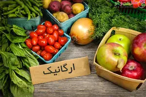 رتبه ۴۳ جهانی ایران در تولید محصولات ارگانیک/تولید محصولات ارگانیک در ایران به کمتر از یک درصد می‌رسد