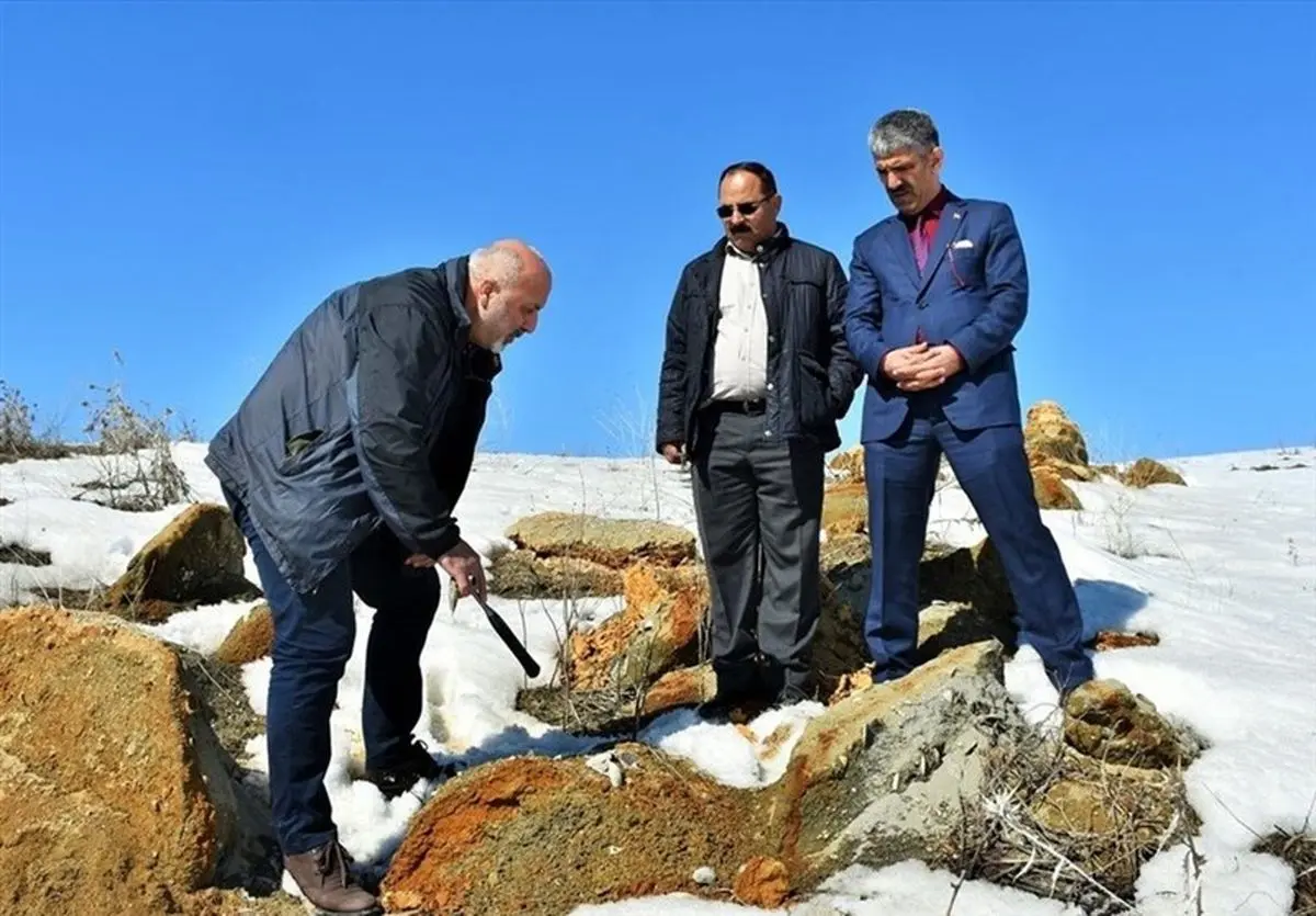 کشف فسیل‌های ۱۱ میلیون ساله در ترکیه + عکس