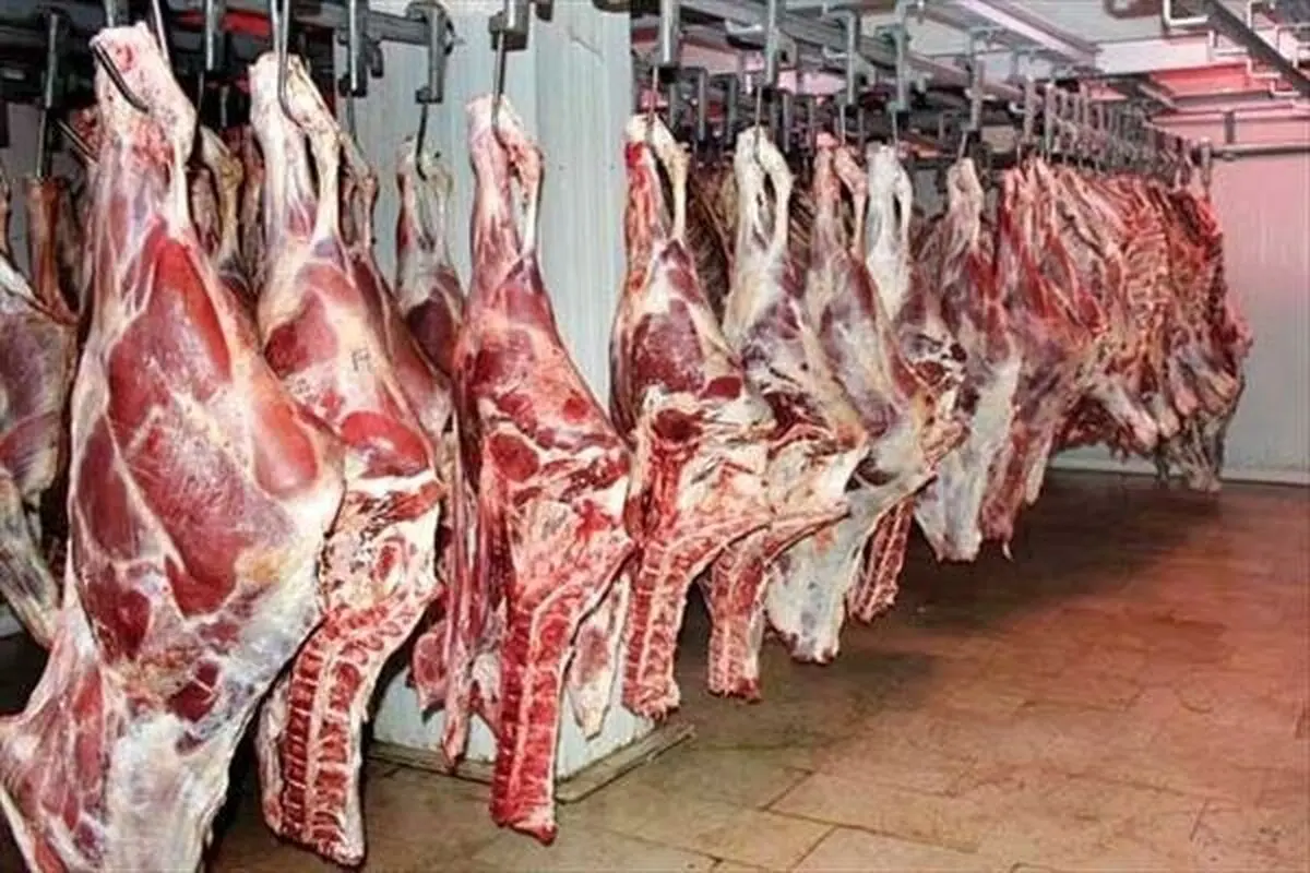 بازرسان سازمان دامپزشکی بر گوشت‌های وارداتی نظارت کامل دارند