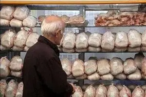 برخورد با عرضه‌کنندگان مرغ ۲۲ هزار تومانی در شهرک غرب