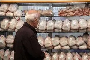 برخورد با عرضه‌کنندگان مرغ ۲۲ هزار تومانی در شهرک غرب
