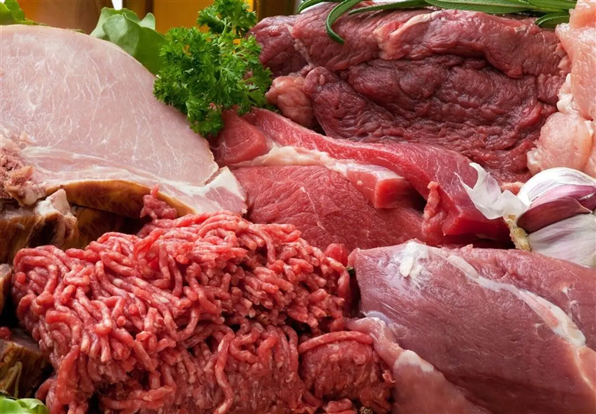کاهش قیمت گوشت در راه است/ نرخ هر کیلو دام زنده سبک‌۳۲ هزار تومان