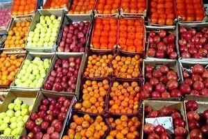 توزیع بیش از ۳۹ هزار تن میوه شب عید