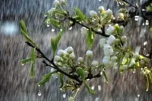 سامانه بارشی جدید از فردا وارد کشور می شود