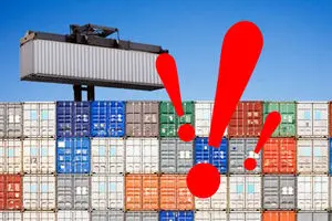 کالاهای غیر ضروری در سبد وارداتی کشور/ چرا ۱۹۶۰۰ واردکننده در کشور وجود دارد؟