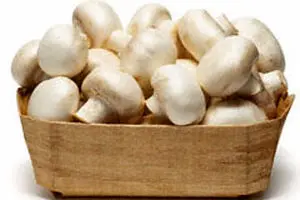 قارچ ارزان شد/ ایران رتبه ششم قارچ در دنیا را داراست