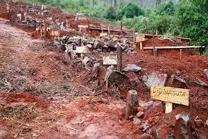 شمار قربانیان گردباد در موزامبیک به بیش از ۴۴۵ تن رسید