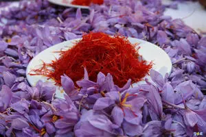ثبات نرخ زعفران در بازار/ رشد صادرات در سال ۹۸ ادامه خواهد داشت