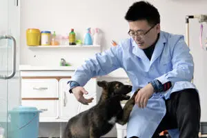 سگ پلیس در چین شبیه سازی شد