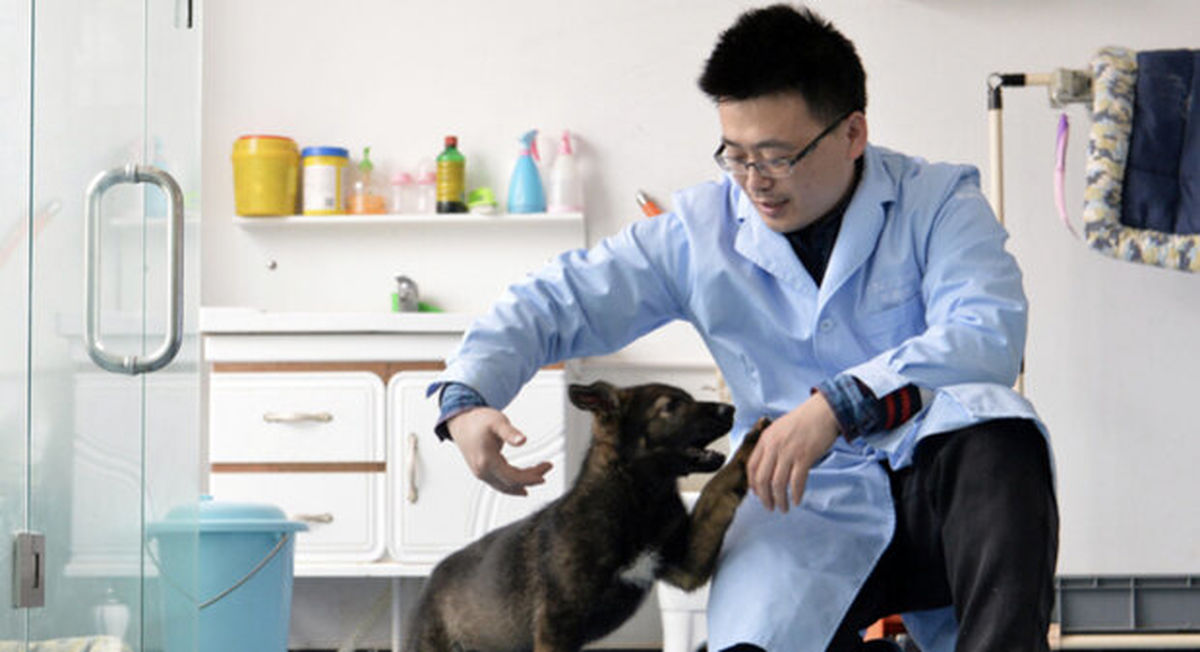 سگ پلیس در چین شبیه سازی شد