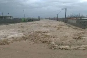 فرماندار:بارش شدید باران در سرپل ذهاب یک قربانی گرفت