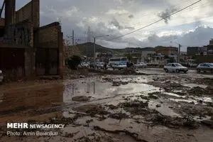 جلسه کارگروه حوادث غیرمترقبه وزارت بهداشت تشکیل شد