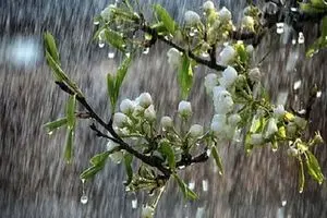 رشد ۱۵۶ درصدی بارش نسبت به دوره بلندمدت/ بارش‌های نرمال در ماه‌های آتی استمرار خواهد داشت