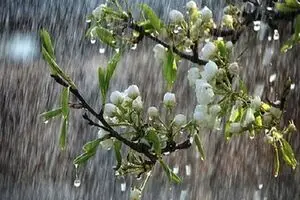 رشد ۱۵۶ درصدی بارش نسبت به دوره بلندمدت/ بارش‌های نرمال در ماه‌های آتی استمرار خواهد داشت