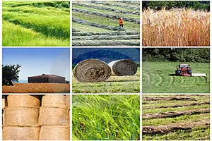 احیای مجدد وزارت بازرگانی نوعی فرافکنی است