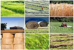 احیای مجدد وزارت بازرگانی نوعی فرافکنی است