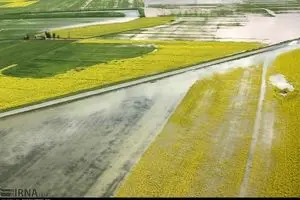 ۲ هزار و ۴۱۷ میلیارد تومان به بخش کشاورزی خسارت وارد شد