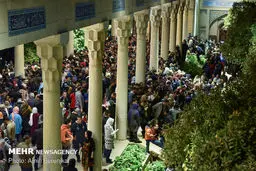 سفر به استان فارس به حالت عادی برگشت