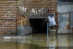 آخرین وضعیت مناطق سیل‌زده شمال از زبان نماینده مردم گرگان و آق قلا