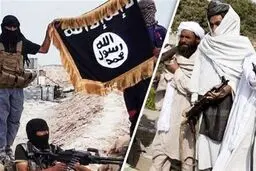از سرگیری عملیات پاکسازی داعش توسط طالبان در شرق افغانستان