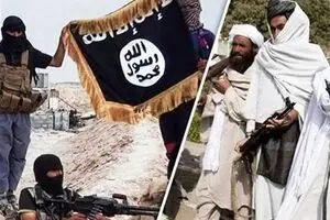 از سرگیری عملیات پاکسازی داعش توسط طالبان در شرق افغانستان