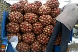 کشف ۳۵۰ تن پیاز احتکار شده در شیراز
