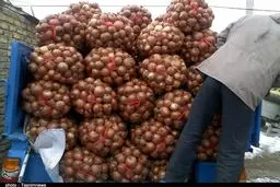 کشف ۳۵۰ تن پیاز احتکار شده در شیراز