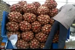 کشف ۳۵۰ تن پیاز احتکار شده در شیراز