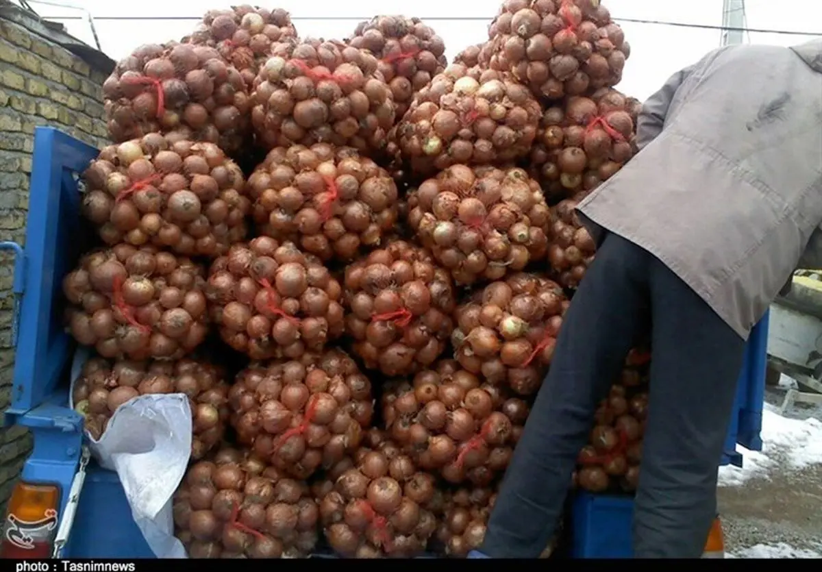 کشف ۳۵۰ تن پیاز احتکار شده در شیراز