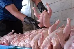 فروش مرغ ۲۴ هزار تومانی در یک فروشگاه زنجیره‌ای+عکس