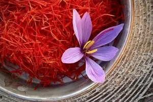 قاچاق پیاز زعفران به معنای از دست دادن منابع ملی است