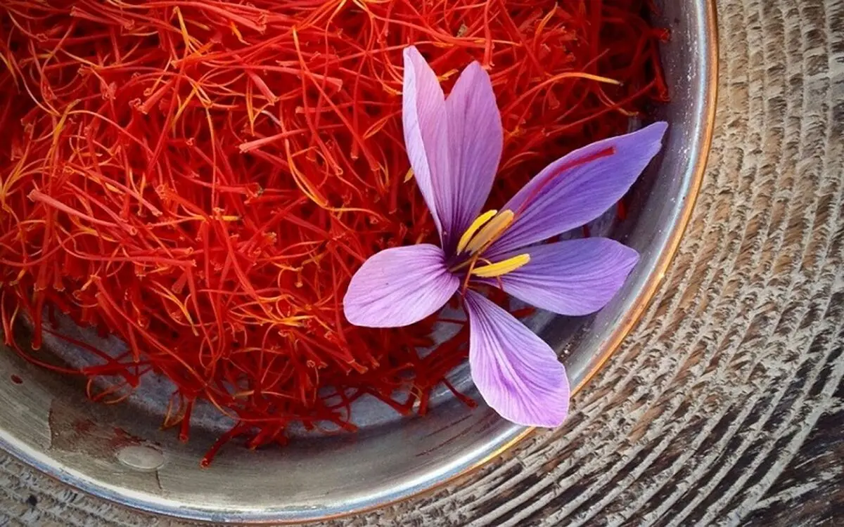 قاچاق پیاز زعفران به معنای از دست دادن منابع ملی است
