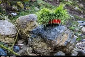 برگزاری مراسم روز طبیعت معلولان در ۴۴ بوستان شهر تهران