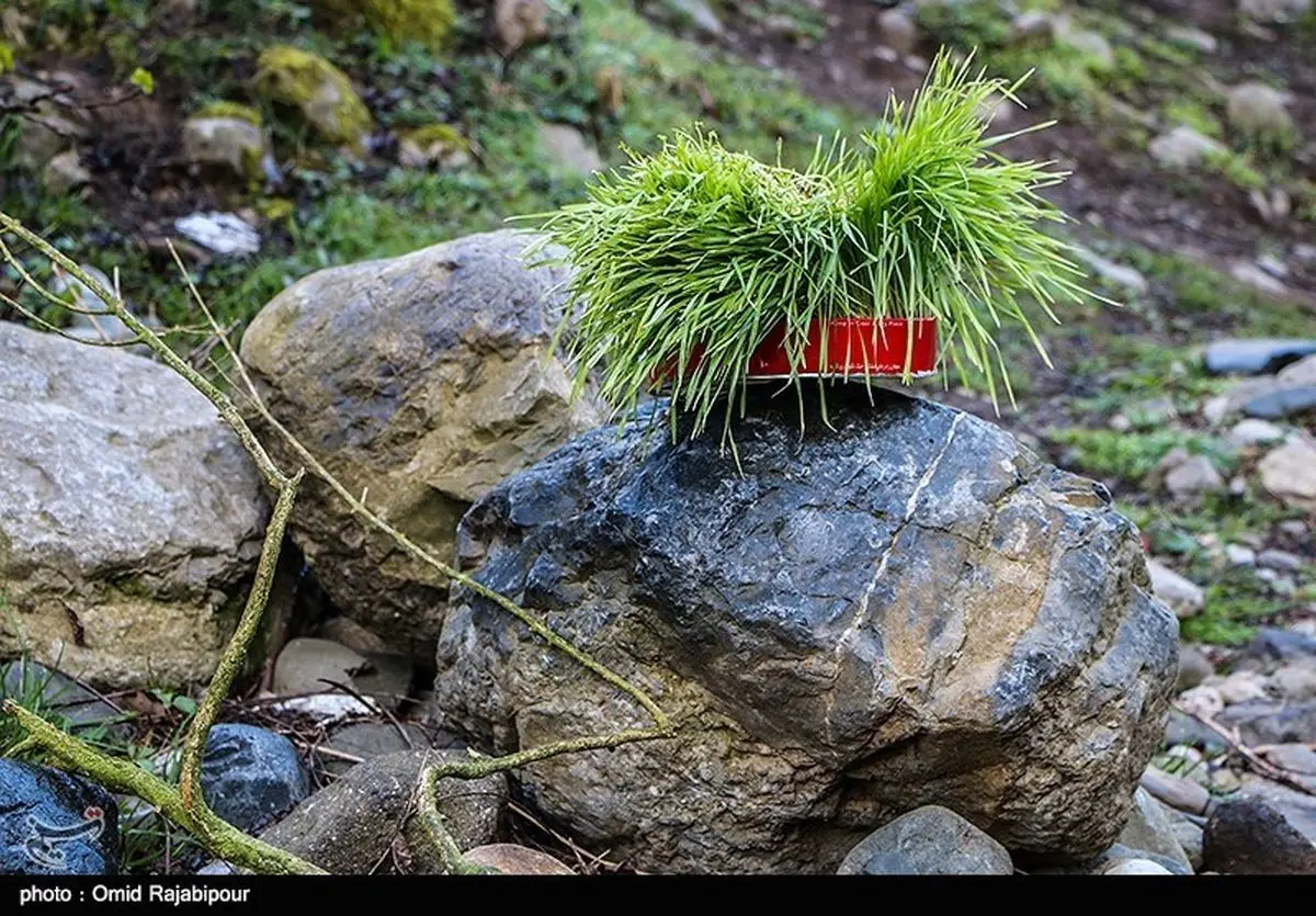برگزاری مراسم روز طبیعت معلولان در ۴۴ بوستان شهر تهران