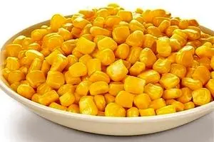 پرده‌برداری از یک حقیقت پنهان و خطرناک درباره 