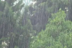 بارندگی در سال آب جاری ۱۸۷ درصد رشد کرد