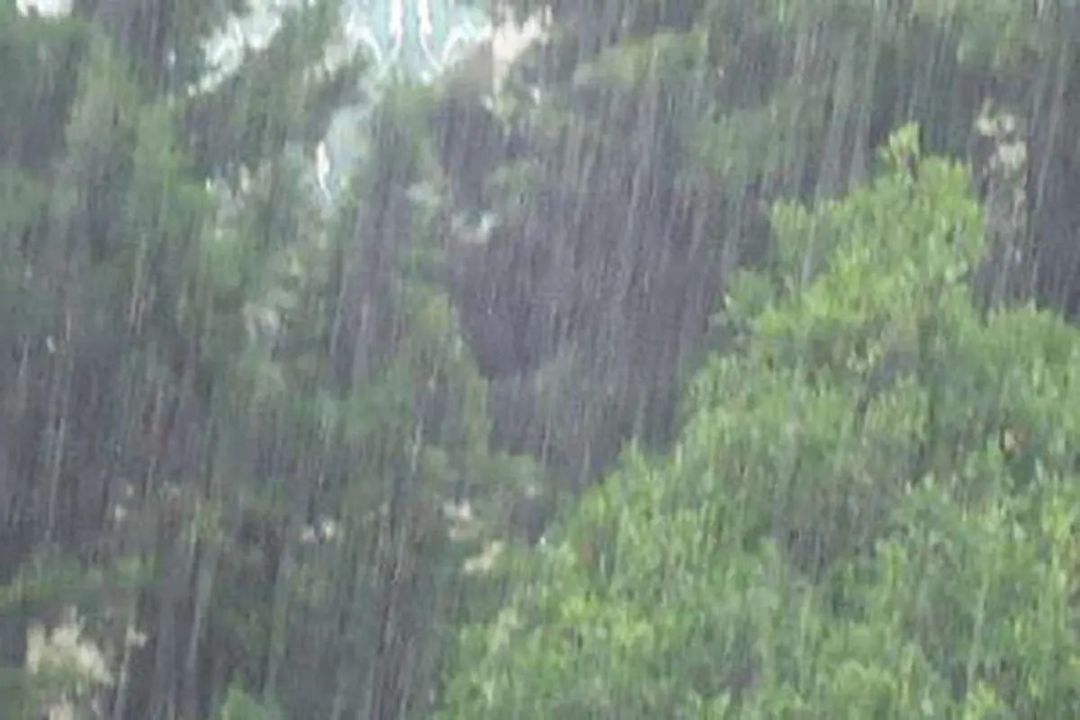 بارندگی در سال آب جاری ۱۸۷ درصد رشد کرد