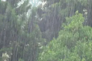 بارندگی در سال آب جاری ۱۸۷ درصد رشد کرد