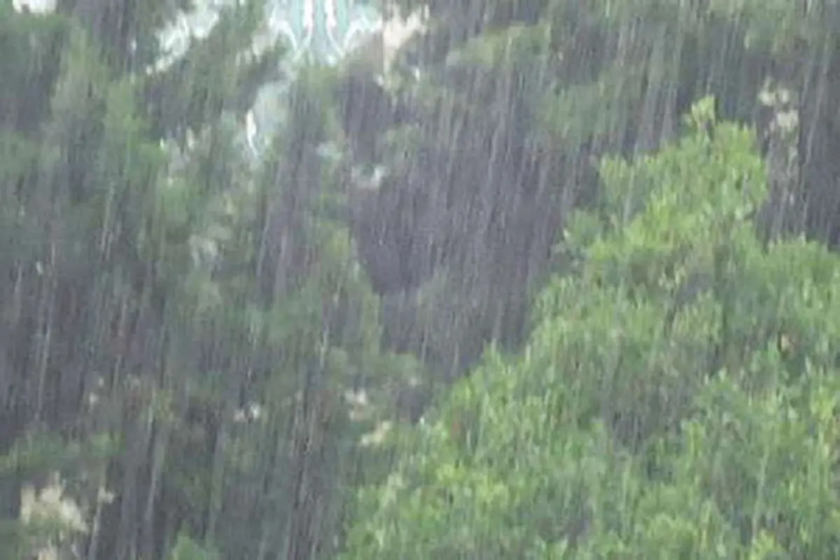 بارندگی در سال آب جاری ۱۸۷ درصد رشد کرد