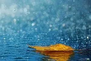 موج تازه بارش‌ 