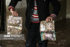 مدارک مفقودی دانشجویان سیل زده، رایگان و به سرعت صادر می‌شود