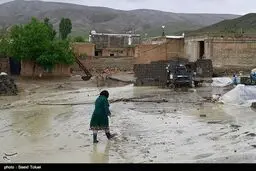 حمایت از هنرمندان سیل زده استان لرستان