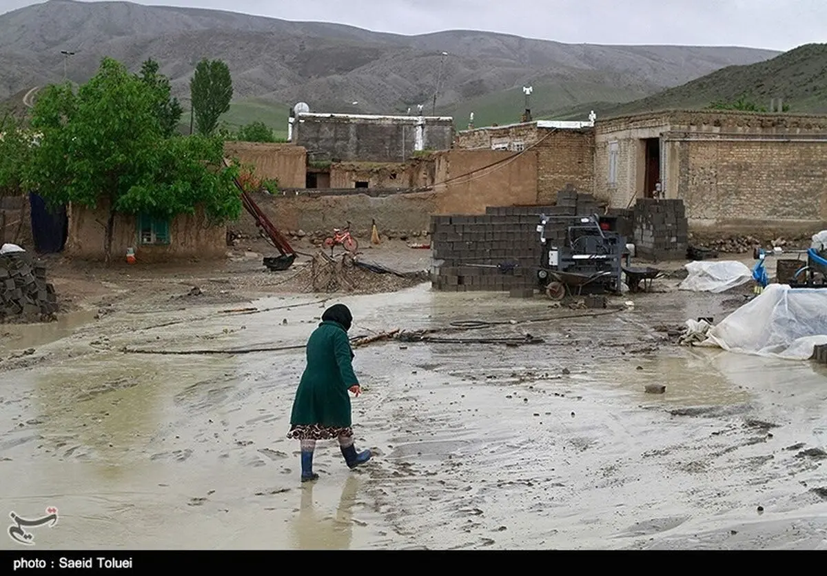 حمایت از هنرمندان سیل زده استان لرستان