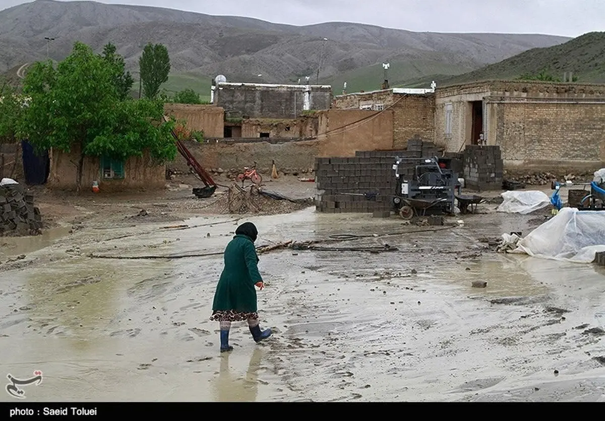 حمایت از هنرمندان سیل زده استان لرستان