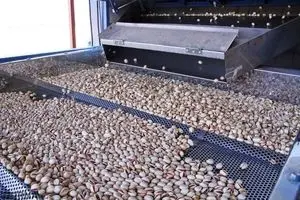 ۱۵۰۰ میلیارد تومان وام به صنایع تبدیلی کشاورزی پرداخت می شود