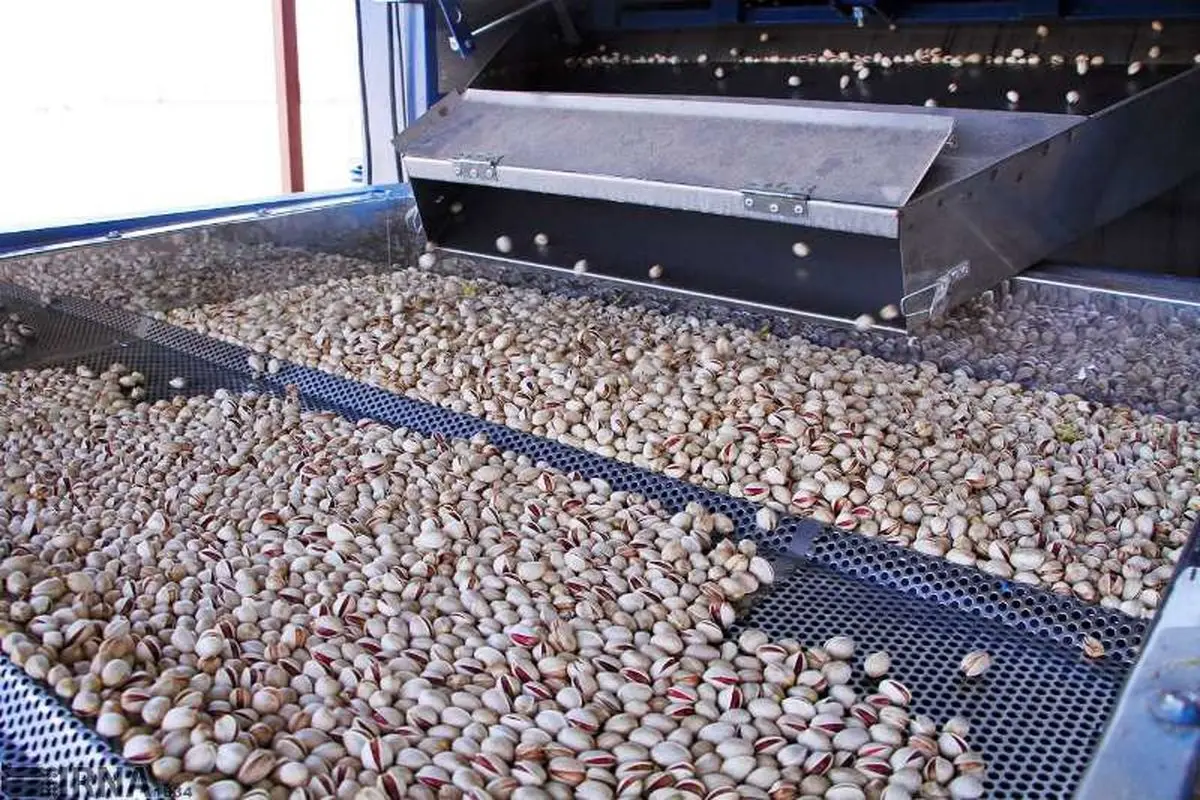 ۱۵۰۰ میلیارد تومان وام به صنایع تبدیلی کشاورزی پرداخت می شود