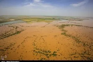 سودجویی غیرانسانی دفاتر هواپیمایی از سیل در کشور / گوشت نرخ مصوب ندارد