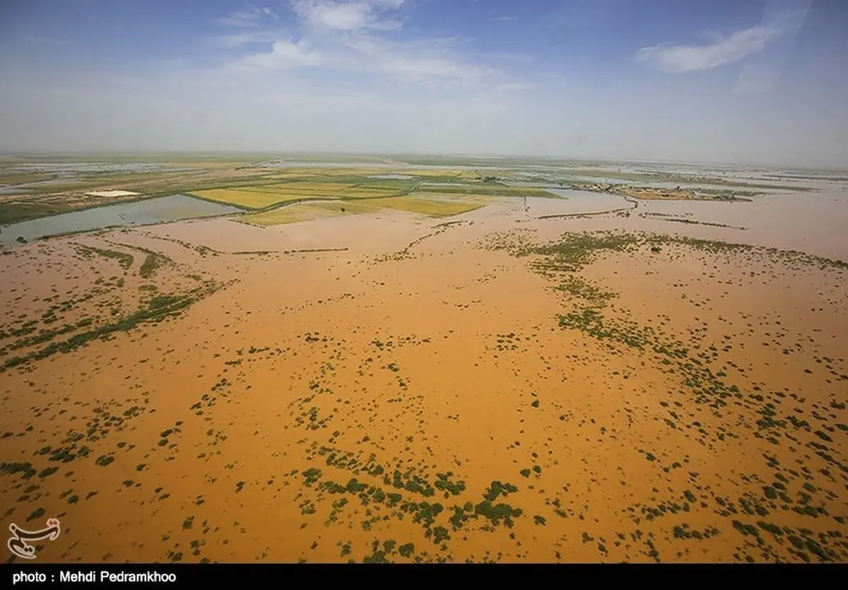 سودجویی غیرانسانی دفاتر هواپیمایی از سیل در کشور / گوشت نرخ مصوب ندارد