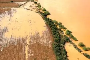 چرا سیلاب‌های اخیر کشور گل آلود بود؟