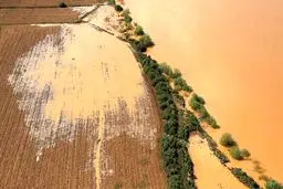 چرا سیلاب‌های اخیر کشور گل آلود بود؟